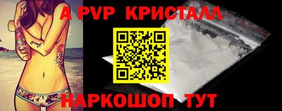 скорость Кингисепп