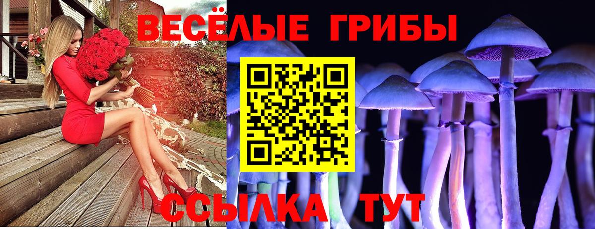 Галлюциногенные грибы Magic Shrooms Елабуга