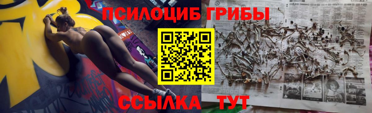 Галлюциногенные грибы Cubensis  Галлюциногенные грибы прущие грибы  Елабуга  закладка  Вход с VPN 